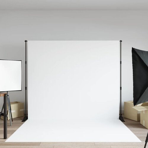 vidaXL Stalak za pozadinu crni 254 x 243 cm čelični Cijene