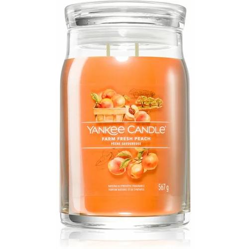 Yankee Candle Farm Fresh Peach dišeča sveča Signature 567 g