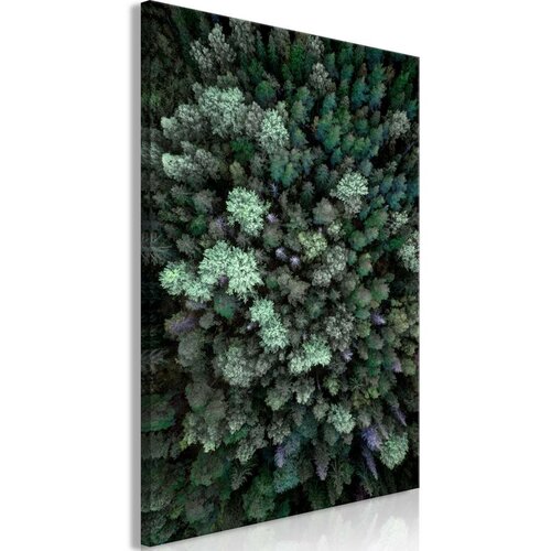  Slika - Flying Over Forest (1 Part) Vertical 40x60 Cijene