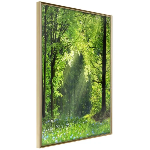  Poster - Forest Path 40x60