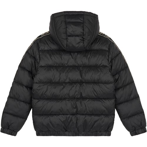 Guess Puhovke HOODED LS PUFFER W/ZIP Črna Slike