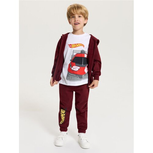 Sinsay Pamučna majica s printom Hot Wheels Cijene