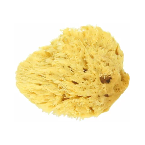 Koutouzis Natural Sea Sponges naravna spužva "honeycomb" - s