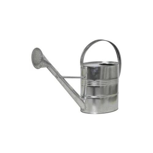 Siena Garden 2381629 Zinkgie&szlig;kanne 10l, silber Stahlblech, verzinkt kanta za vodu 10 l Cijene