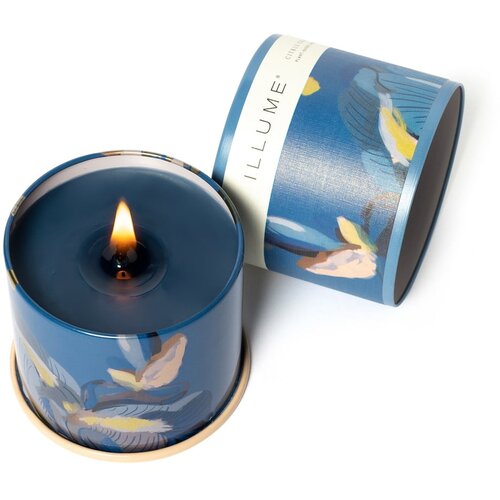 ILLUME x Bloomingville Mirisna svijeća vrijeme gorenja 50 h Citrus Crush &amp;ndash; Slike