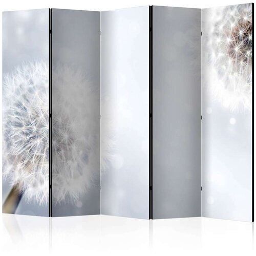  Paravan u 5 dijelova - Unpredictable moments II [Room Dividers] 225x172 Slike