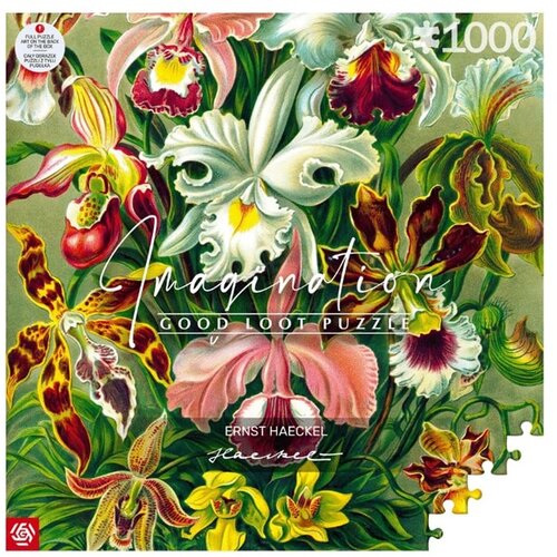 CENEGA PUBLISHING Imagination Puzzle: Ernst Haeckel Orchid 1000 elements Cijene