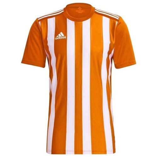 Adidas Majice s kratkimi rokavi Striped 21 Bela Slike