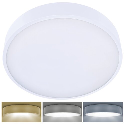  Brilagi-LED prigu&scaron;iva svetiljka POOL SMART LED/48W/230V 40 cm Wi-Fi Tuya+daljinski bela Cene