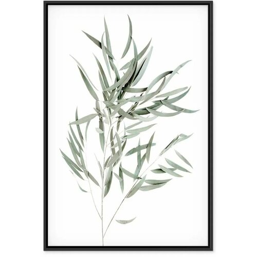  Slika - Nicholia Eucalyptus (1 Part) Vertical 80x120 Cene