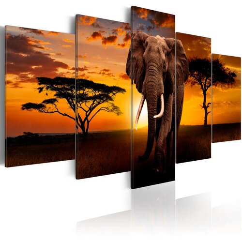  Slika - The Savannah King 200x100 Slike