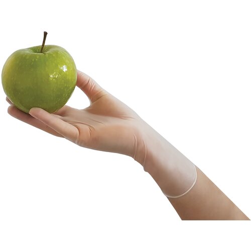 Zarys easyCARE Vinyl Gloves Powder-Free Transparent 100 pack L Cijene