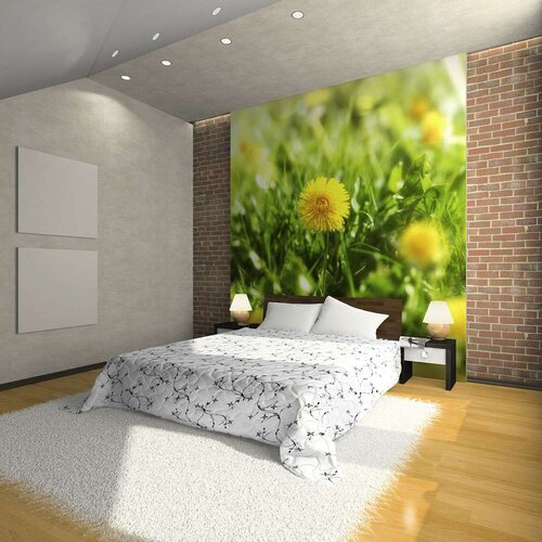  Tapeta - Dandelion flowers 350x270 Slike