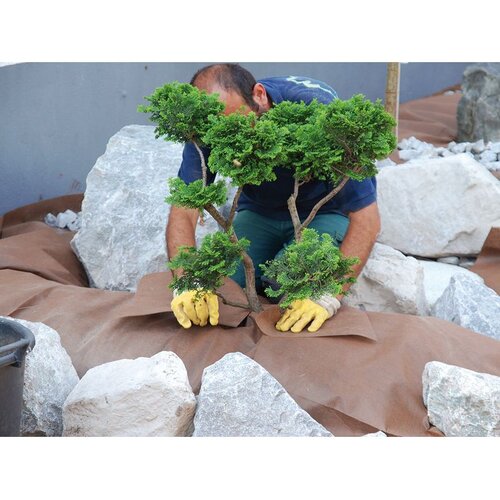  Vrtna folija za kontrolu korova, Plantex Weedmax, rola 1,15x10m Cene
