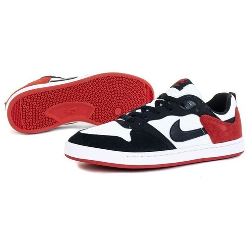 Nike Nizke superge SB Alleyoop Večbarvna Cene