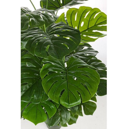 BIZZOTTO Umetna monstera (vi&amp;scaron;ina 120 cm) Philodendron &amp;ndash; Slike