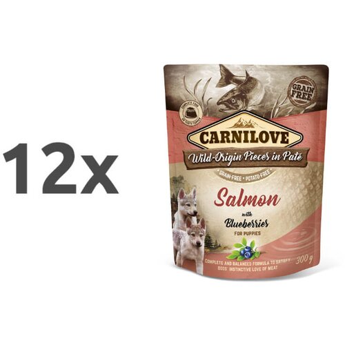 Carnilove dog puppy - losos &amp;amp; borovnica, vrečka 300g 12 x 300 g Slike