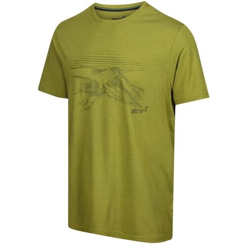 Inov-8 Men's T-shirt Graphic "Helvellyn" Green Cene