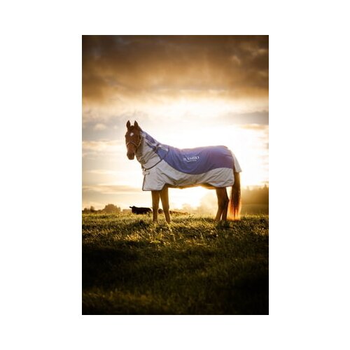 Rambo Autumn Series navy - 140 cm Slike
