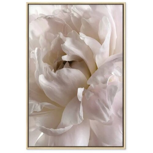  Slika - Fluffy Distraction (1 Part) Vertical 40x60 Slike