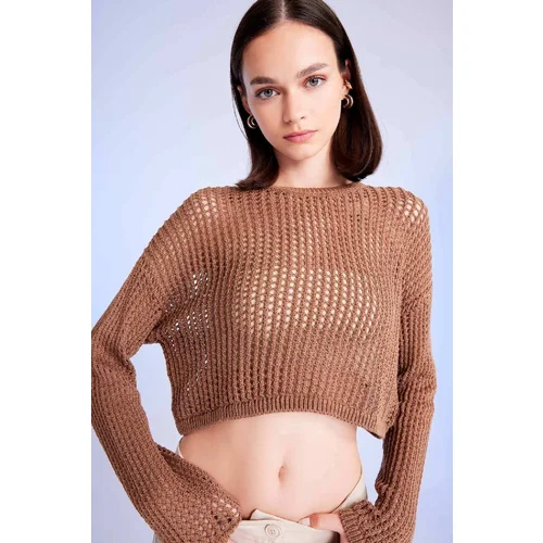 Defacto Women's Regular Fit Crew Neck Crochet Openwork Crop Knitwear Sweater