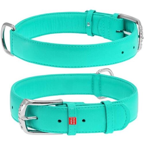 CLR WD 39 cm -Ogrlica za pse 30 Cene