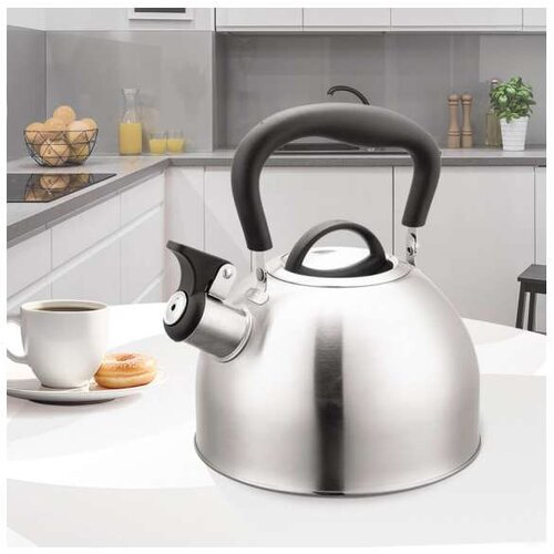 Maestro Čajnik sa zviždukom MR1336, 1.9l, Inox Slike