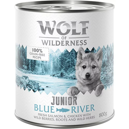 Wolf of Wilderness Ekonomično pakiranje: 24 x 800 g - Junior Blue River - piletina i losos