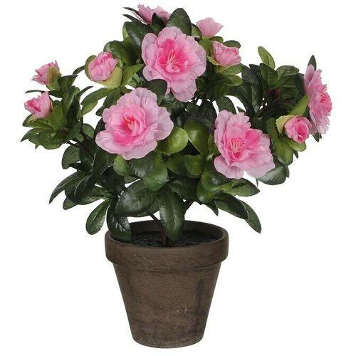  Umjetna biljka Azalea (Visina: 27 cm, Plastika) Cijene