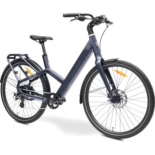 Ms Energy eBike Veles grey_REG Cijene
