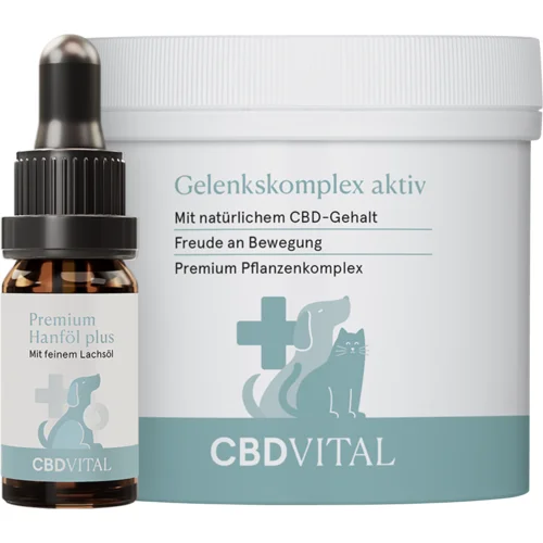 CBD VITAL CBD VET Box Premium za pse - 1 pak.