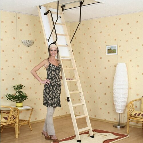 MEISTERHOLZ Tavanske stepenice Thermo Extra (120 x 70 cm, Toplinska izolacija: 0,85 W/m²k) Cijene