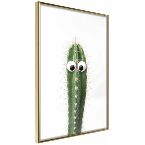  Poster - Funny Cactus I 30x45
