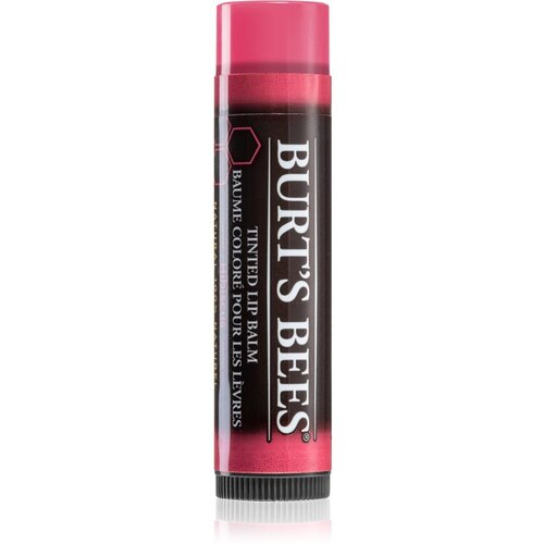 Burt's Bees Tinted Lip Balm balzam za ustnice odtenek Hibiscus 4.25 g Cene