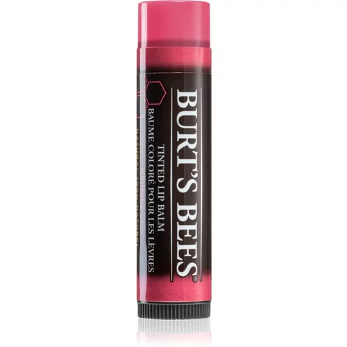 Burt's Bees Tinted Lip Balm balzam za ustnice odtenek Hibiscus 4.25 g