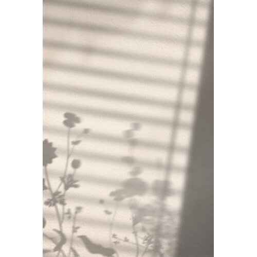 Venture Home poster Flower Shadow 70 × 100 cm, bijeli Cene
