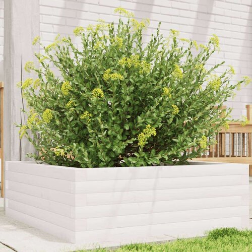  Vrtna sadilica bijela 70x70x23 cm od masivne borovine Slike
