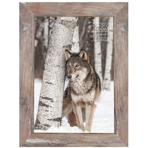 Styler Smeđi okvir za fotografije Bergen Shabby, 34 x 44,5 cm Cijene
