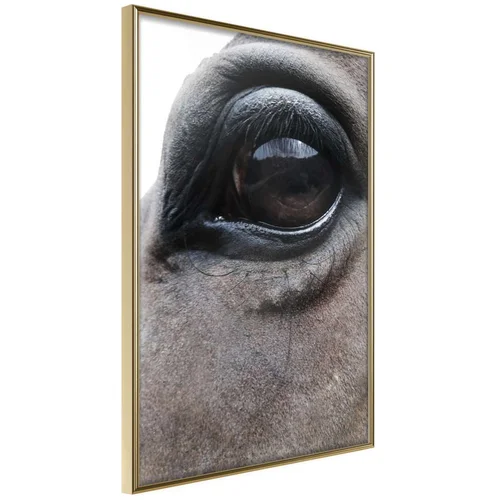  Poster - Gentle Eyes 20x30