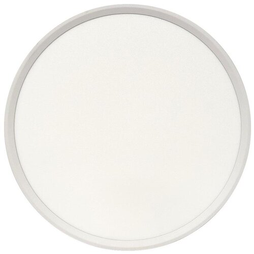  LED stropno svetlo LED/32W/230V 3000/4000/6500K prečnik 40 cm bela Cene