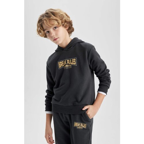 Defacto Boy Printed Hooded Thick Sweatshirt Cene