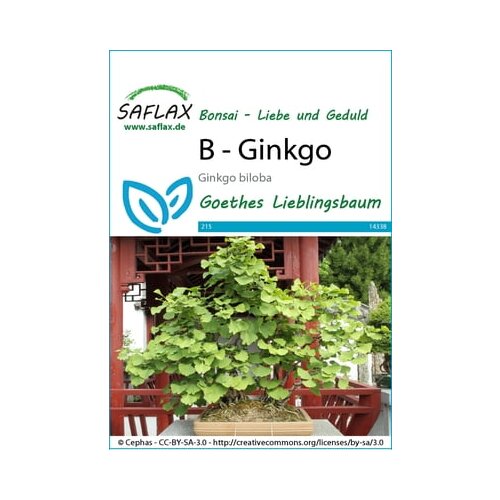 Saflax Bonsaj - ginko Cene