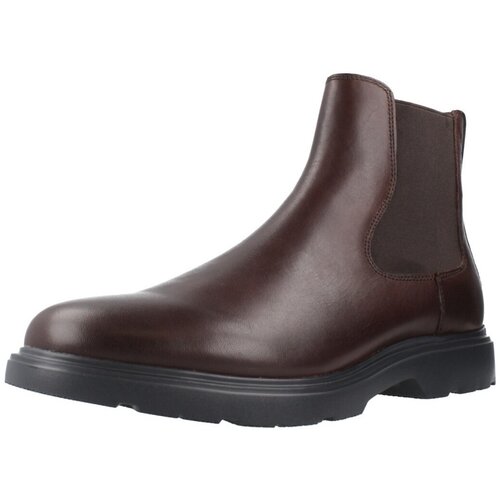 Stonefly Pol&amp;scaron;kornji 157368 Kostanjeva Slike