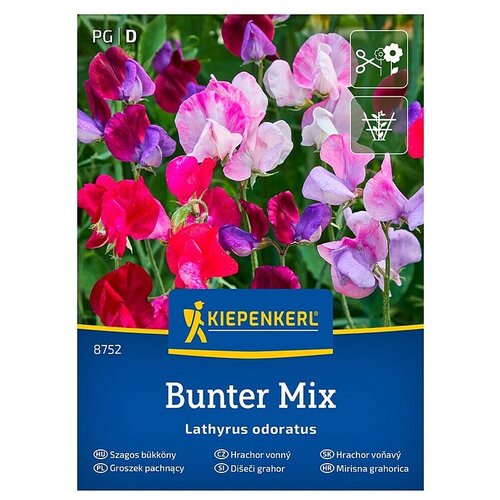 KIEPENKERL Cvetlična semena Di&scaron;eči grahor Barvita me&scaron;anica (Lathyrus odoratus, Večbarvna) Cene
