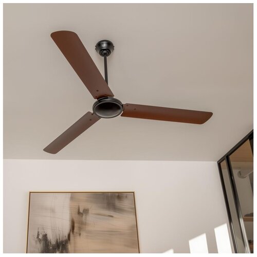  ZEVENTI - Plafonski ventilator TOFINO braon Cene