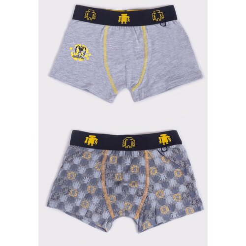 Yoclub Kids&amp;#039;s 2Pack Boy&amp;#039;s Boxer Briefs BMB-0017C-AA30 Slike