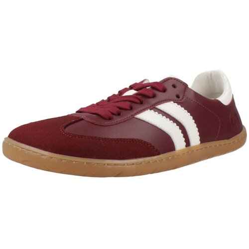 Coqueflex 4415CO Bordo Cijene