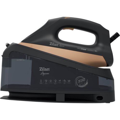 Zilan Pegla na paru sa parnom stanicom, 3000W,... Cijene