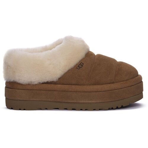 Ugg Nogavice Tazzlita Kostanjeva Cene