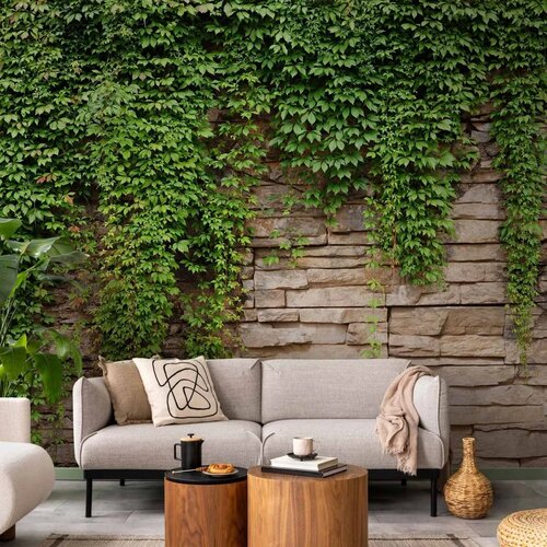  Foto tapeta - Ivy wall 98x70 Cijene